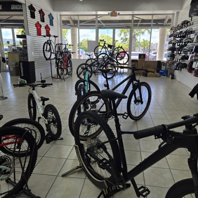 Podium Cycling Workshop (29)
